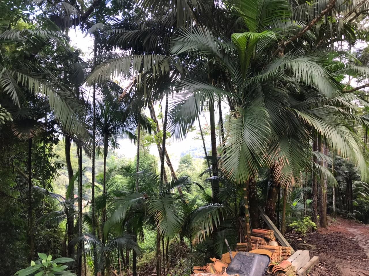  - Chácara com 3 dormitórios à venda, 78000 m² por R$ 670.000,00 - Rio Cerro I - Jaraguá do Sul/SC