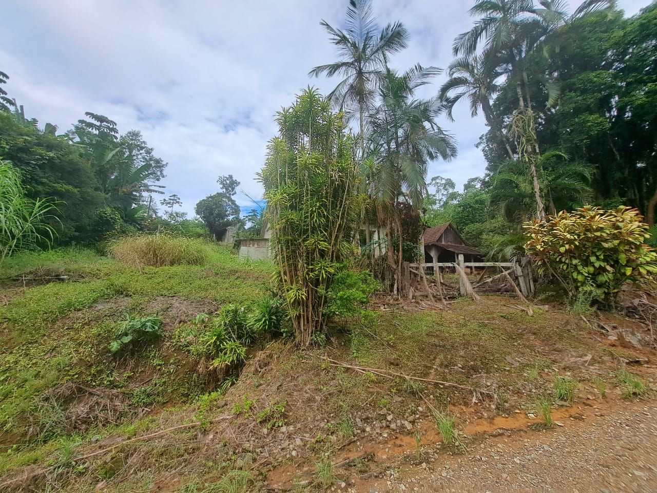 Chácara à venda com 3 quartos, 90.00m² - Rio da Luz,Jaraguá do Sul