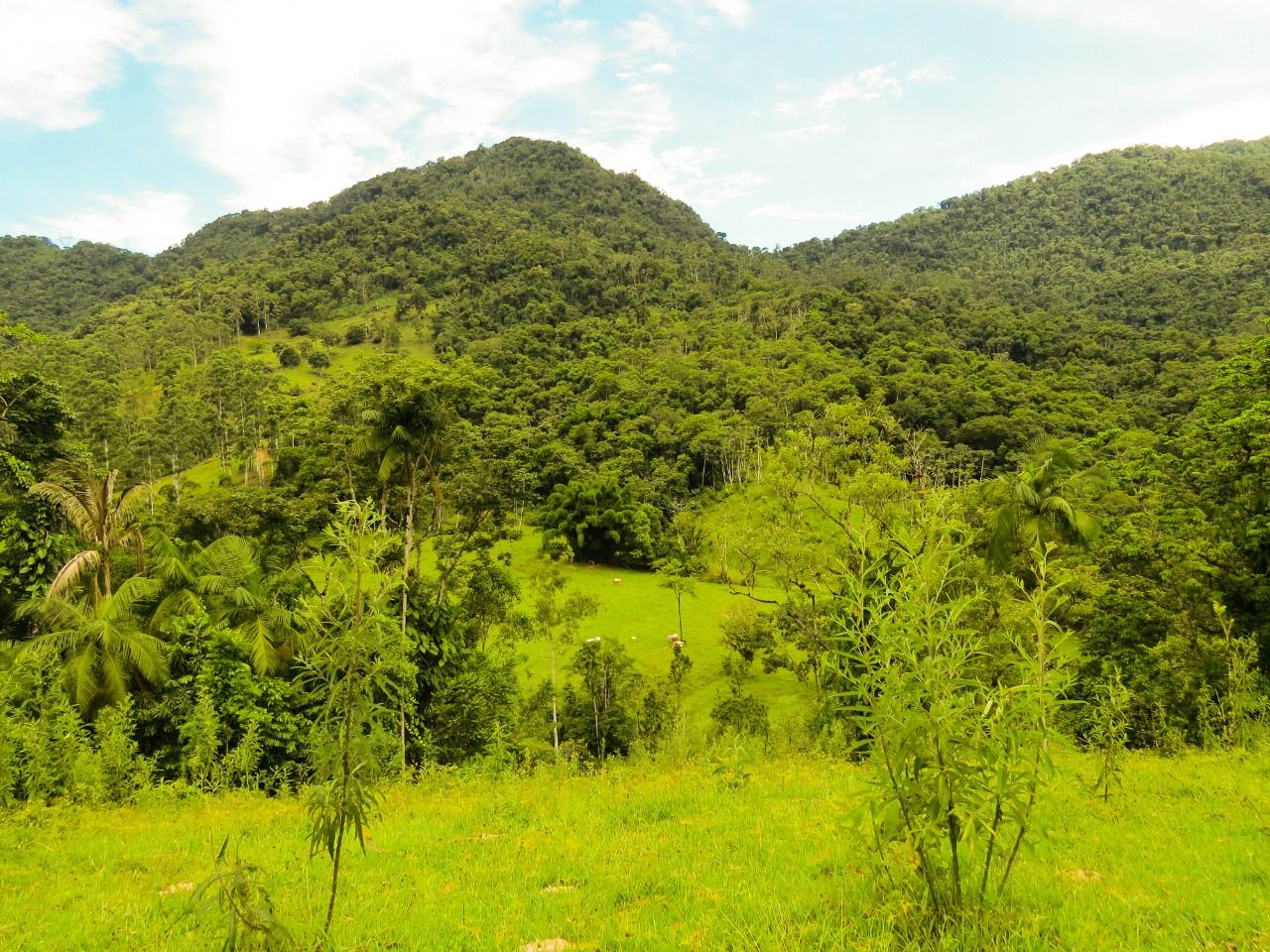 Chácara à venda, 20000.00m² - Garibaldi,Jaraguá do Sul