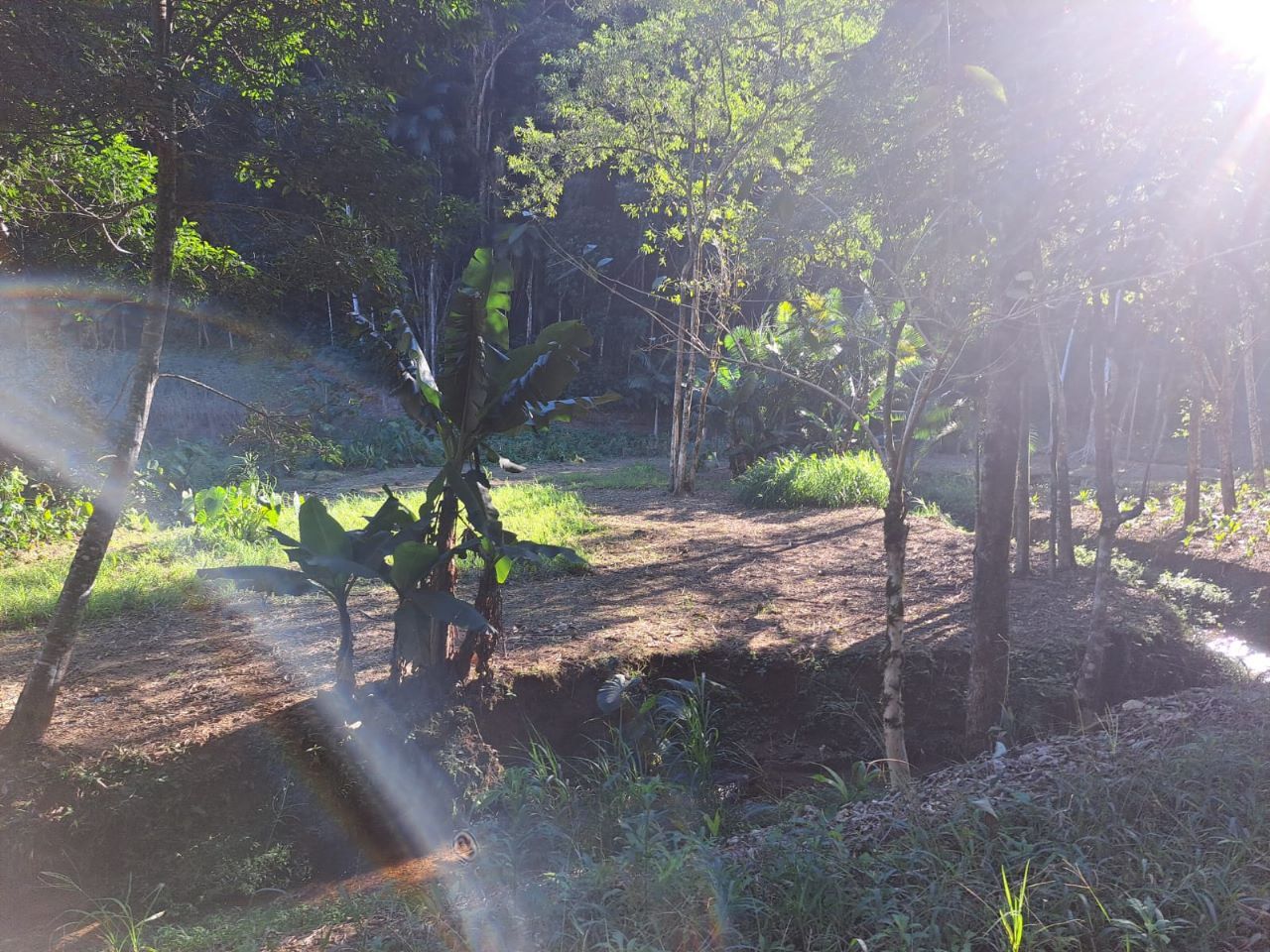 Chácara à venda com 2 quartos, 60.00m² - Garibaldi,Jaraguá do Sul