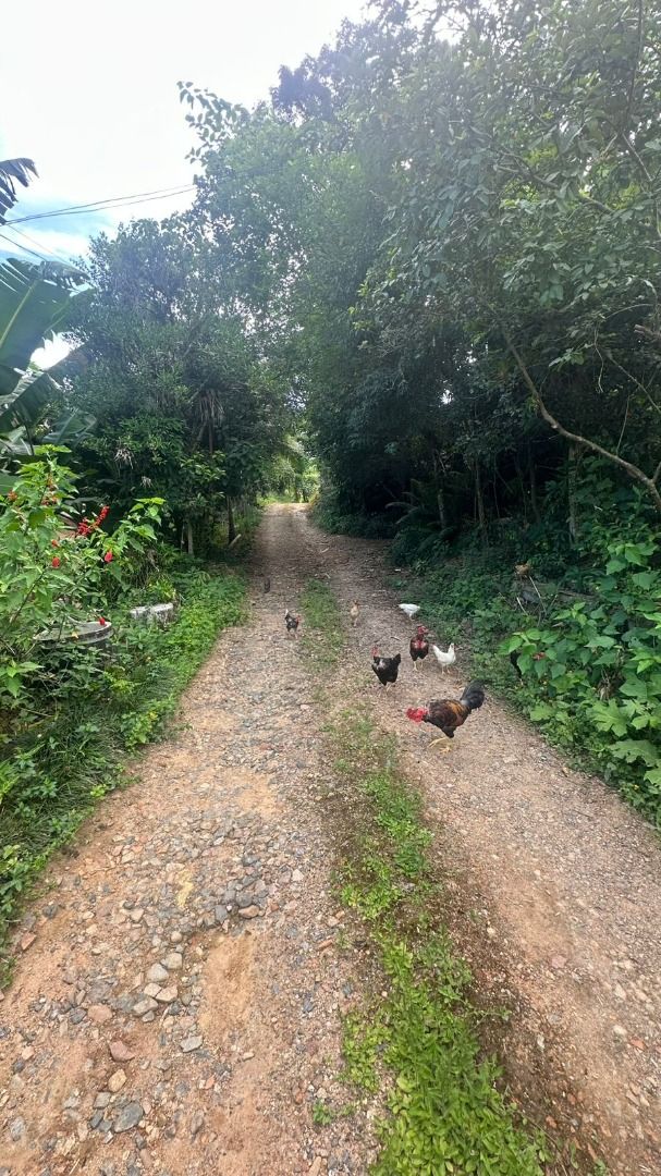 Casa à venda com 2 quartos, 96m² - Jaraguá 84,Jaraguá do Sul