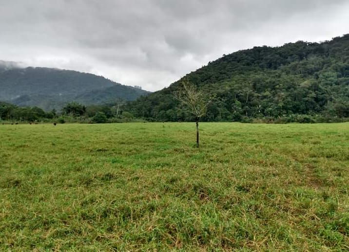  - Chácara com 3 dormitórios à venda, 37000 m² por R$ 1.290.000,00 - Garibaldi - Jaraguá do Sul/SC