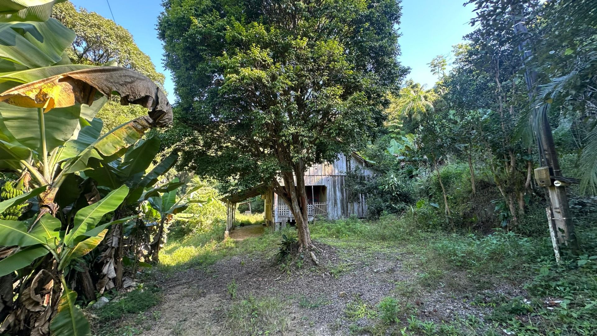 Chácara à venda - Santa Luzia,Jaraguá do Sul