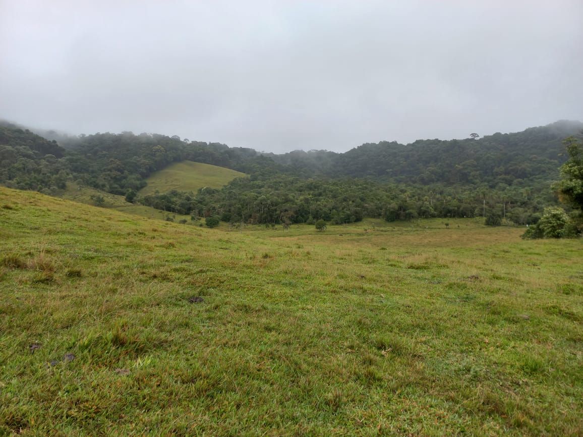 Chácara à venda com 2 quartos, 100.00m² - Cedro Alto,Rio dos Cedros