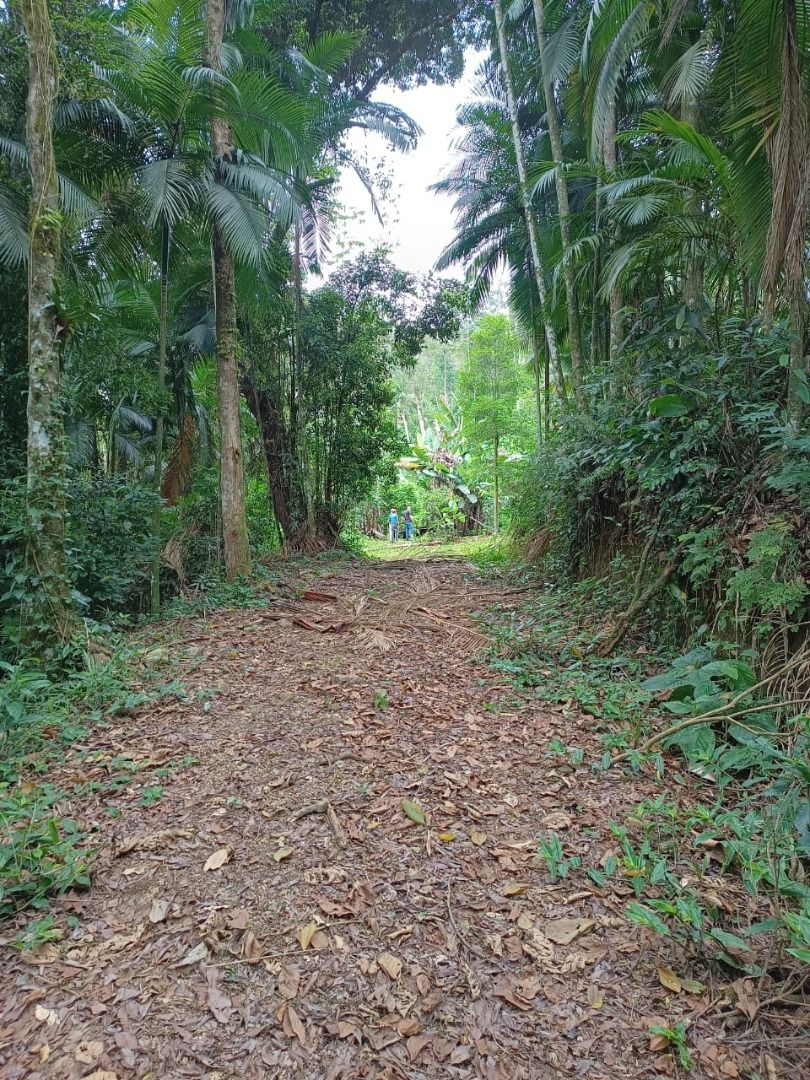 Chácara à venda - Rio da Luz,Jaraguá do Sul