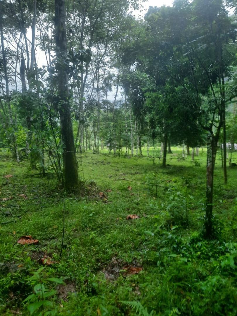 Sítio à venda com 3 quartos, 80.00m² - Rio da Luz,Jaraguá do Sul