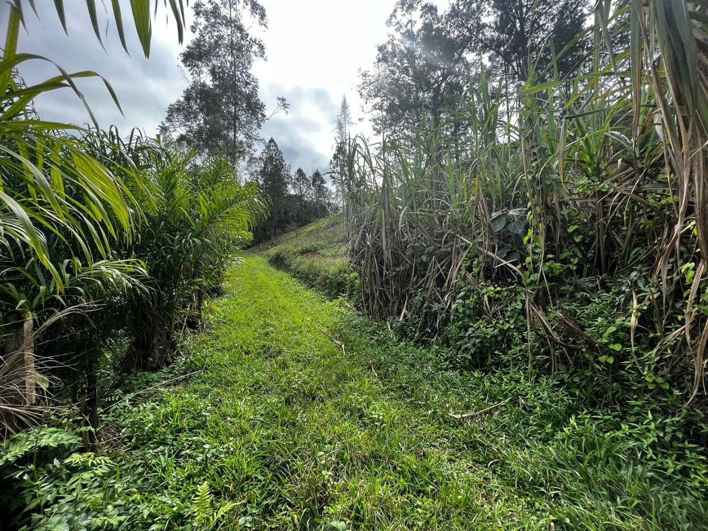 Terreno à venda - Rio Cerro I,Jaraguá do Sul