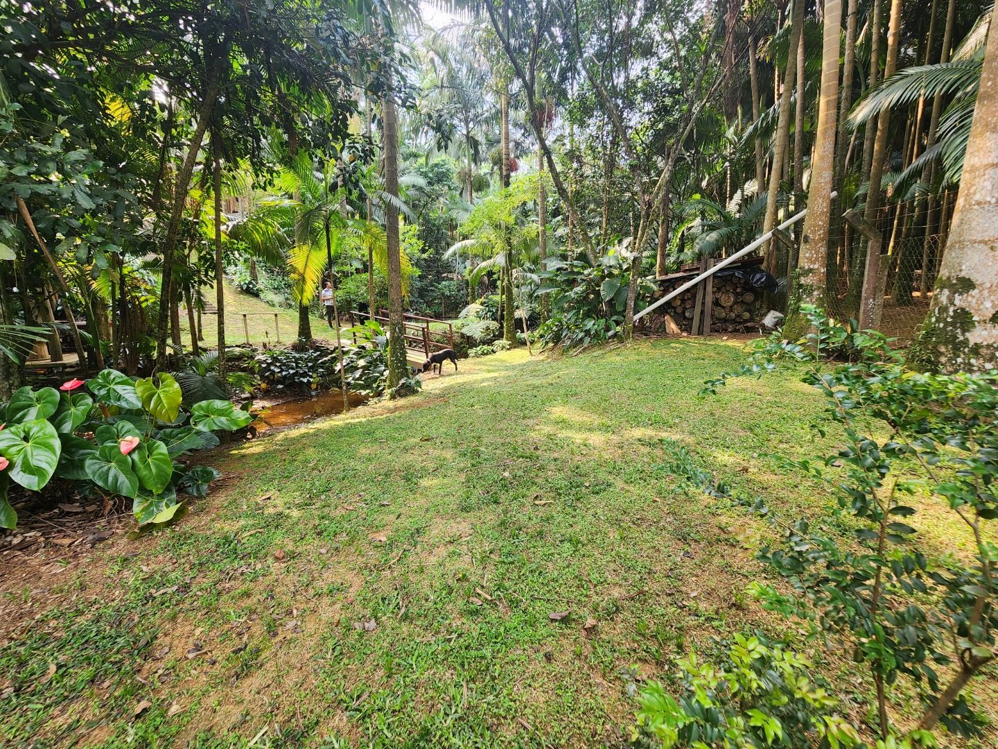  - Mini chácara com 3 dormitórios à venda, 230 m² por R$ 1.200.000 - Rio Hern - Schroeder/Santa Catarina