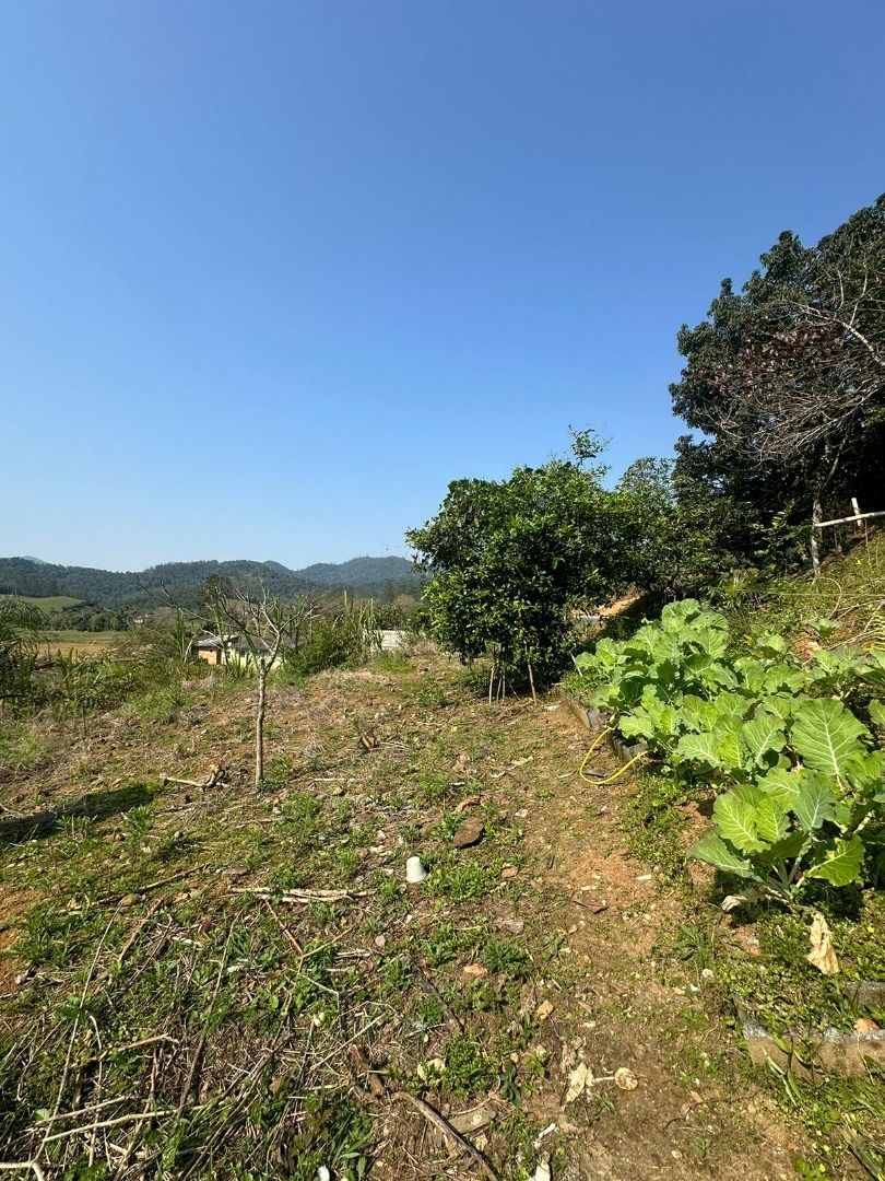 - Terreno à venda, 360 m² por R$ 136.000,00 - Rio da Luz - Jaraguá do Sul/SC