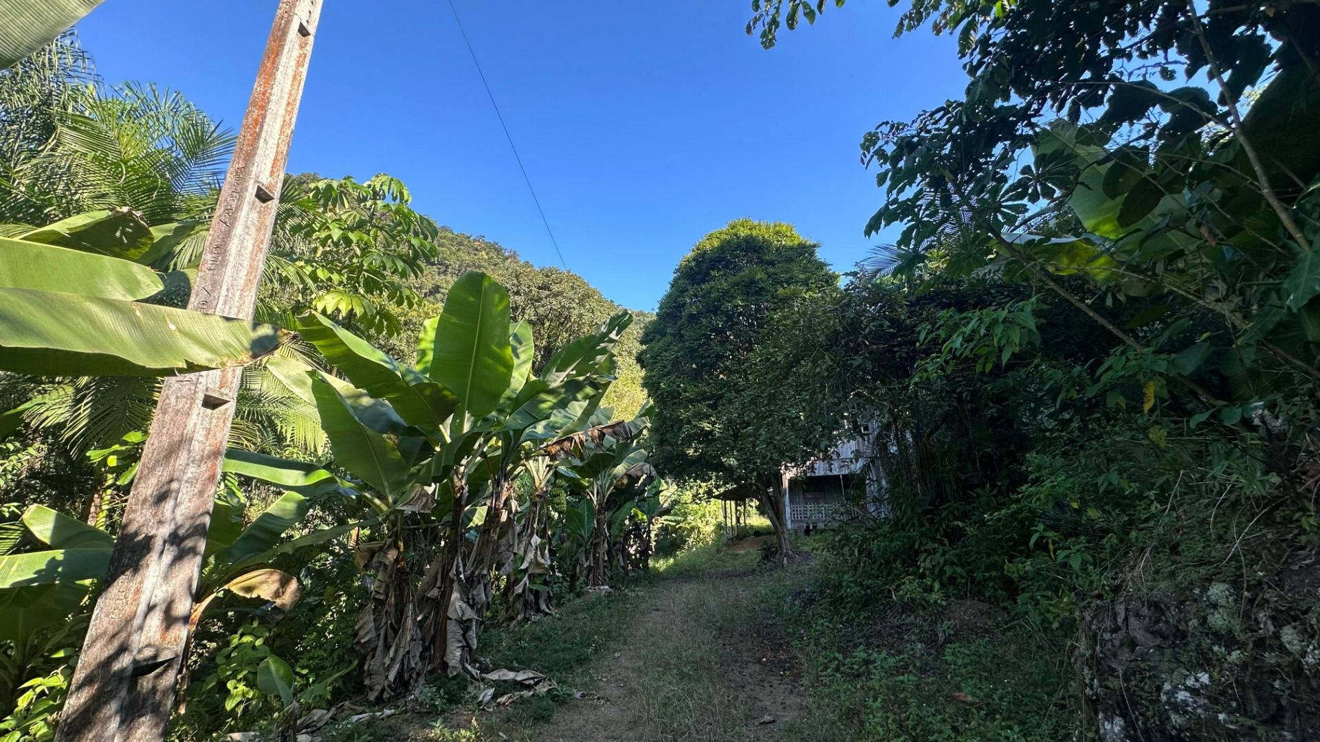 Chácara à venda - Santa Luzia,Jaraguá do Sul