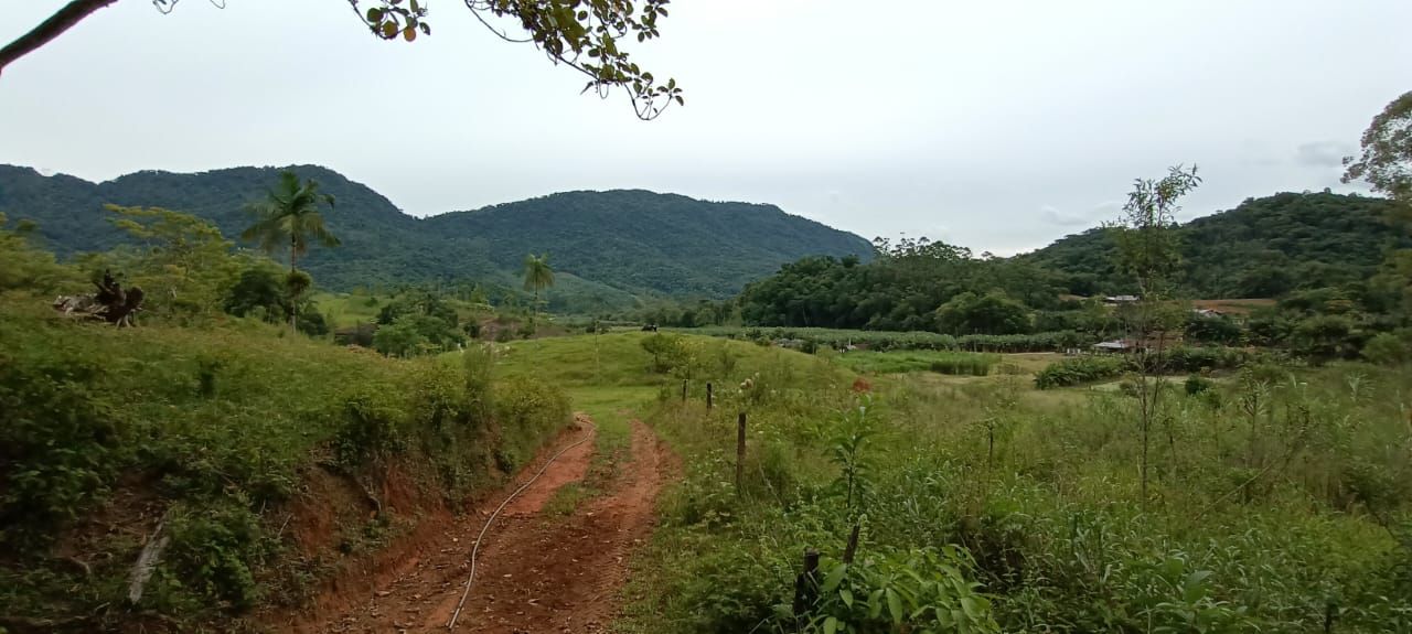 Chácara à venda com 4 quartos, 150.00m² - Jaraguá 84,Jaraguá do Sul