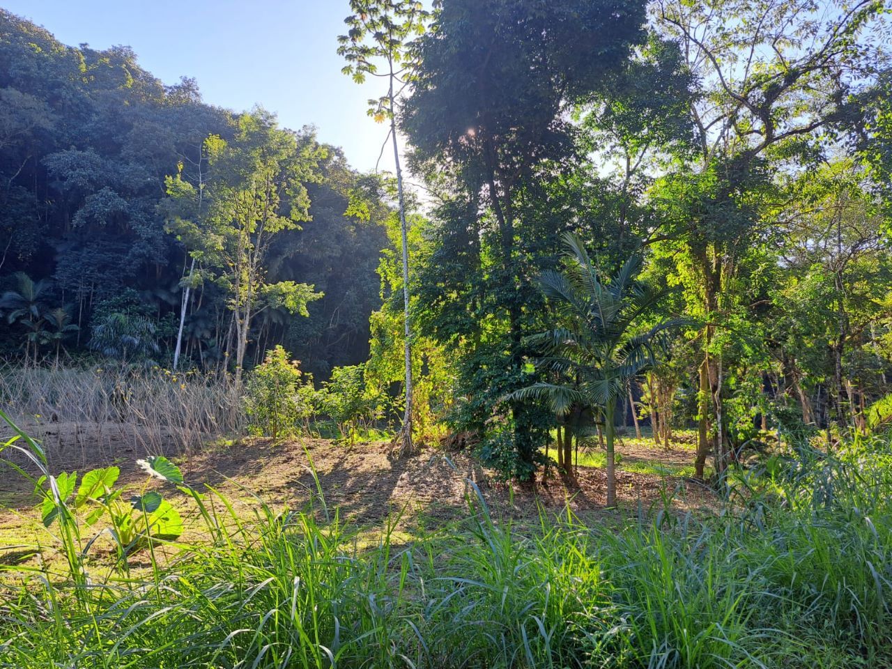 Chácara à venda com 2 quartos, 60.00m² - Garibaldi,Jaraguá do Sul