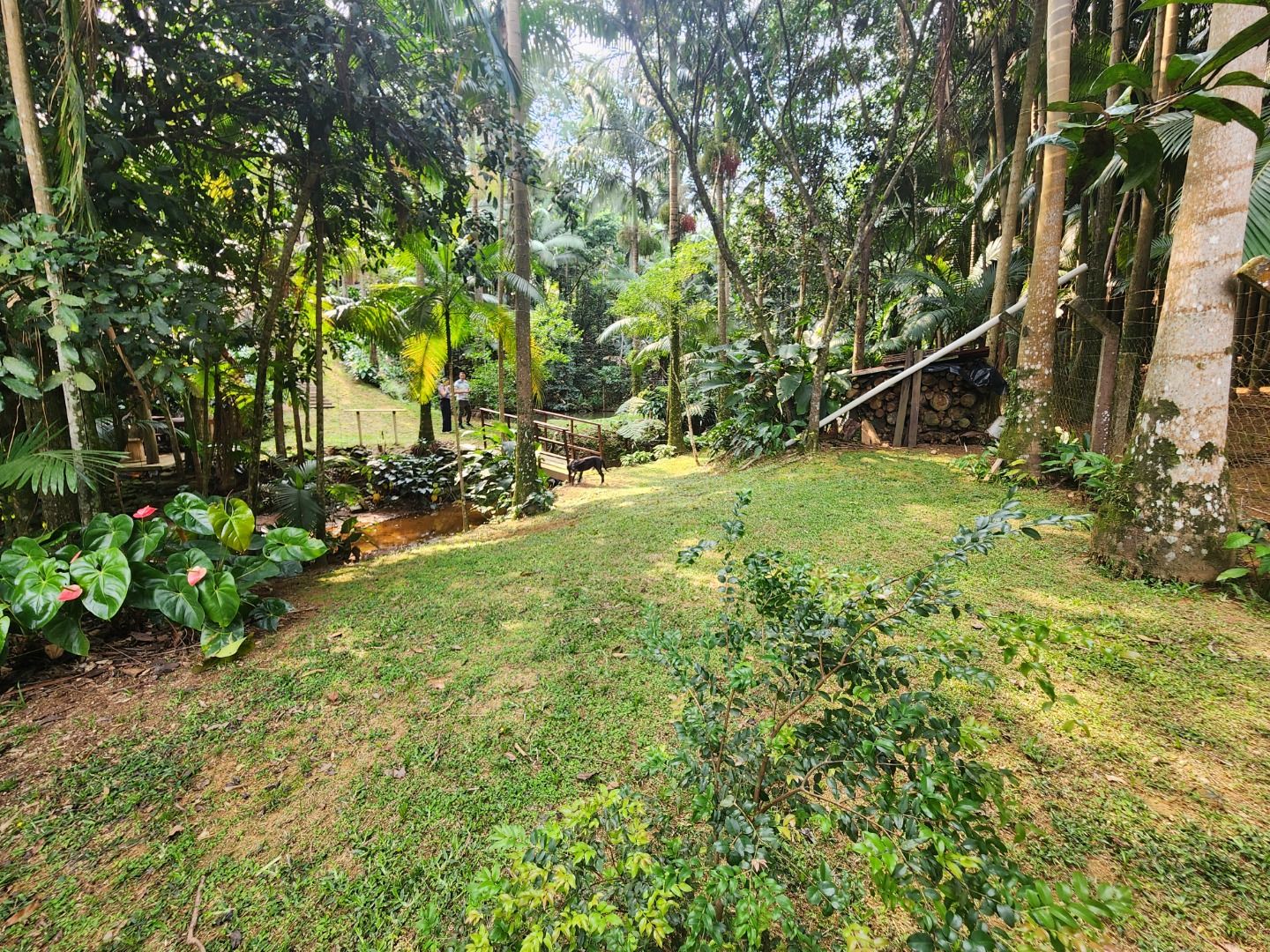 Casa à venda com 3 quartos, 230.00m² - Rio Hern,Schroeder