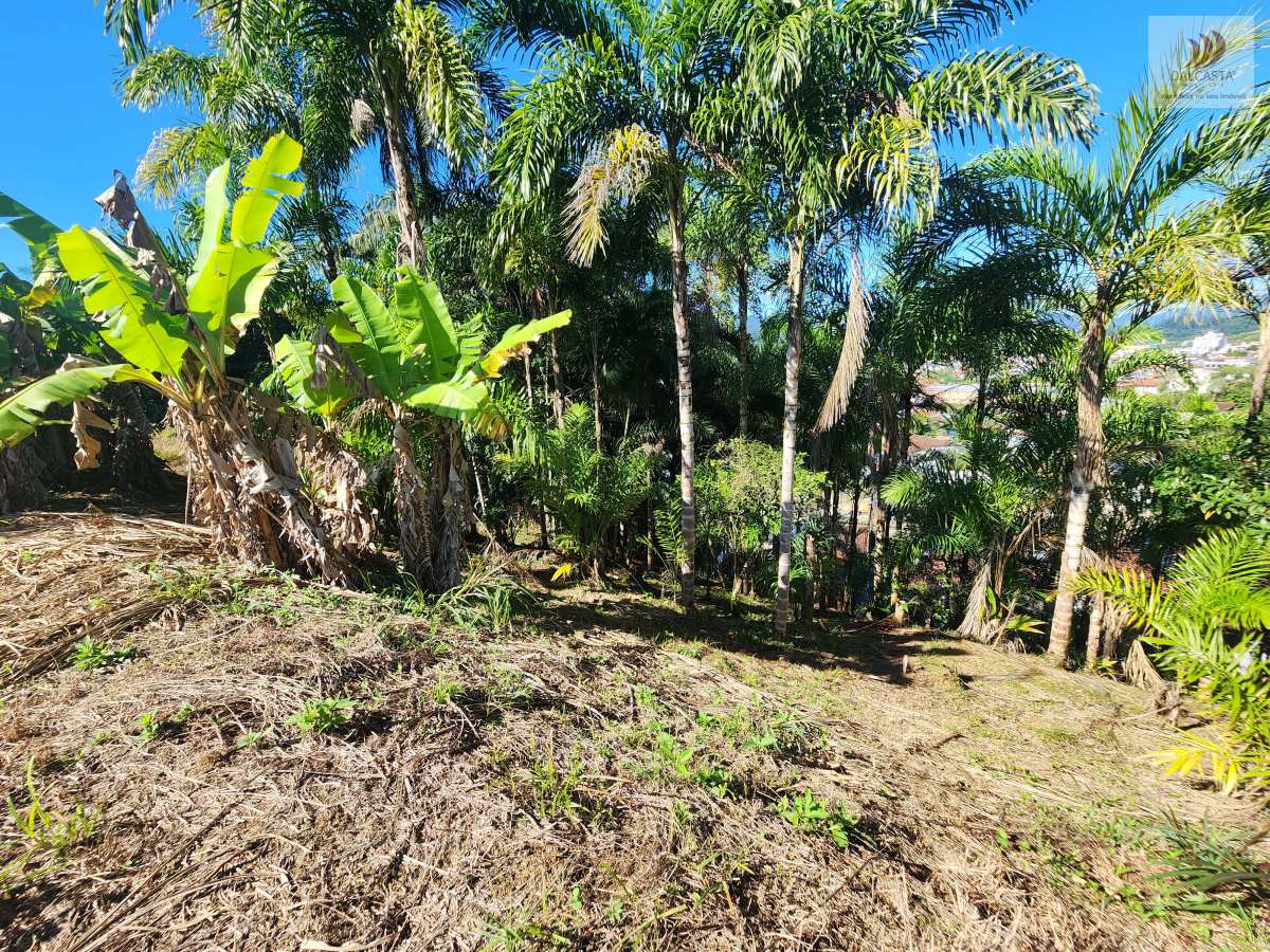 Terreno à venda - Barra do Rio Cerro,Jaraguá do Sul