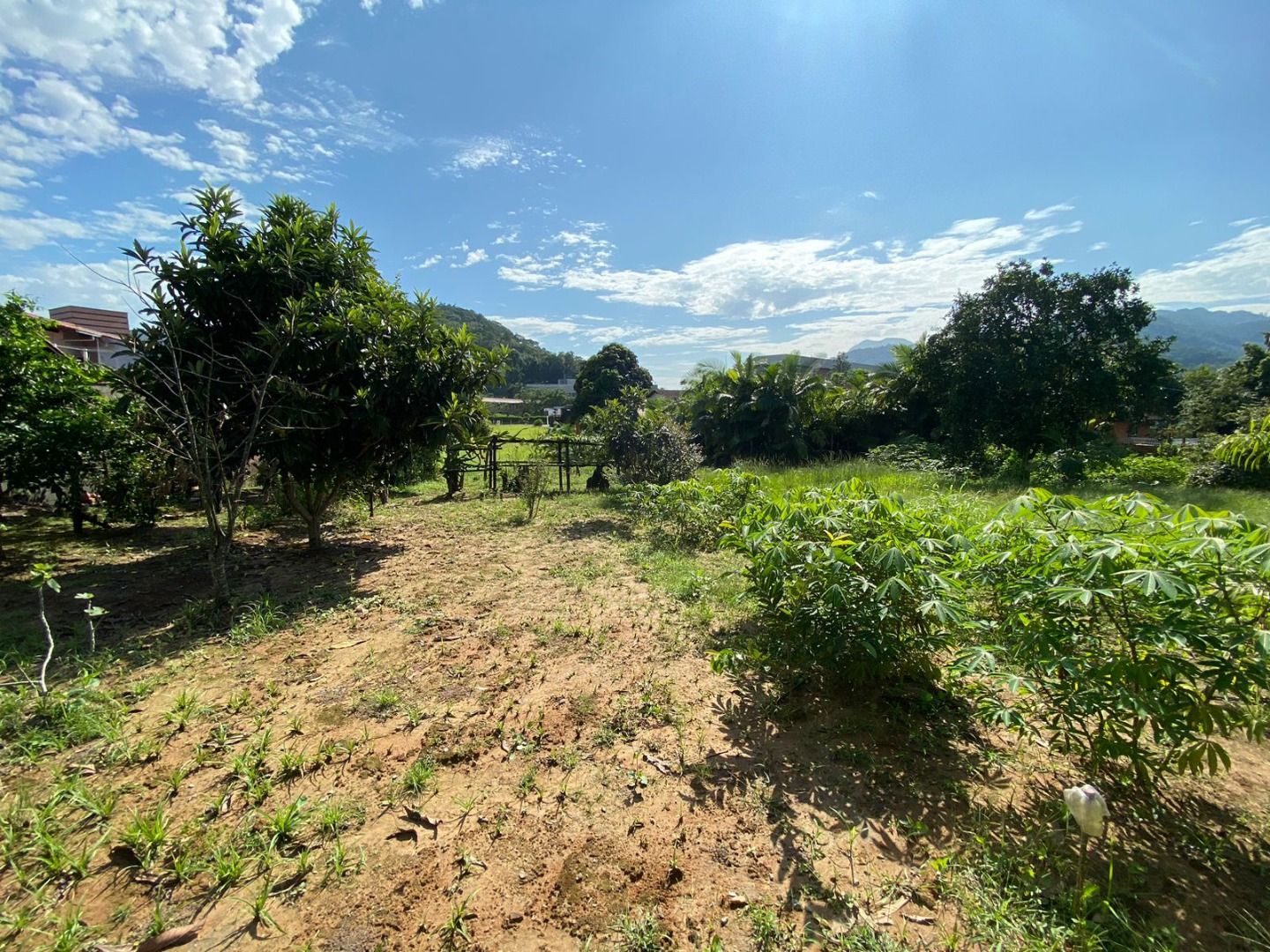  - Terreno à venda, 6150 m² por R$ 2.990.000,00 - Barra do Rio Cerro - Jaraguá do Sul/SC