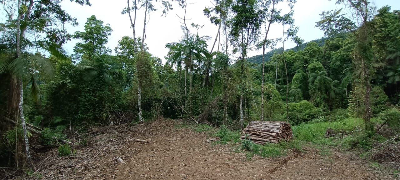  - Chácara com 4 dormitórios à venda, 81.210 mil m² por R$ 1.500.000 - Jaraguá 84 - Jaraguá do Sul/SC