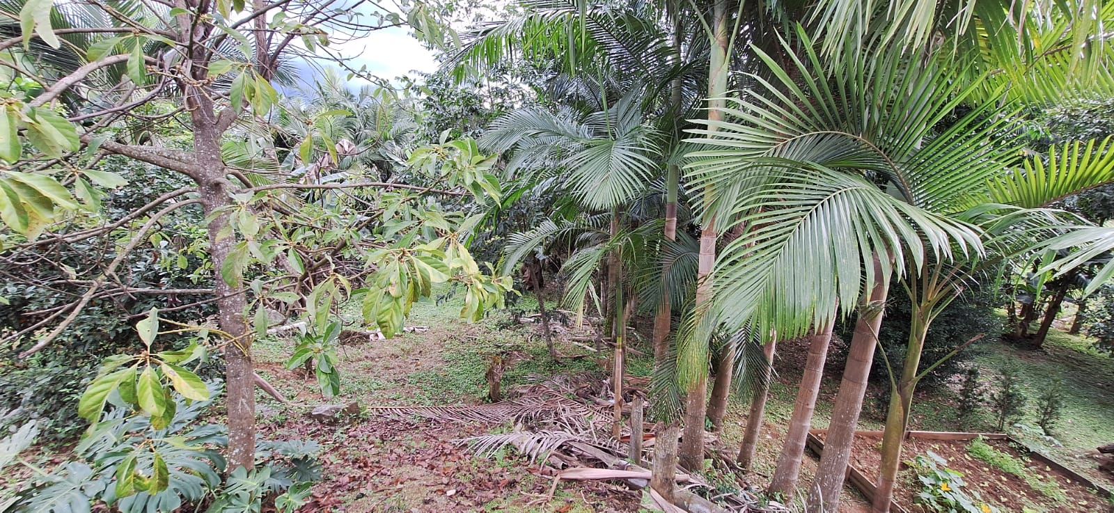 Casa à venda com 2 quartos, 80.00m² - Jaraguá 84,Jaraguá do Sul