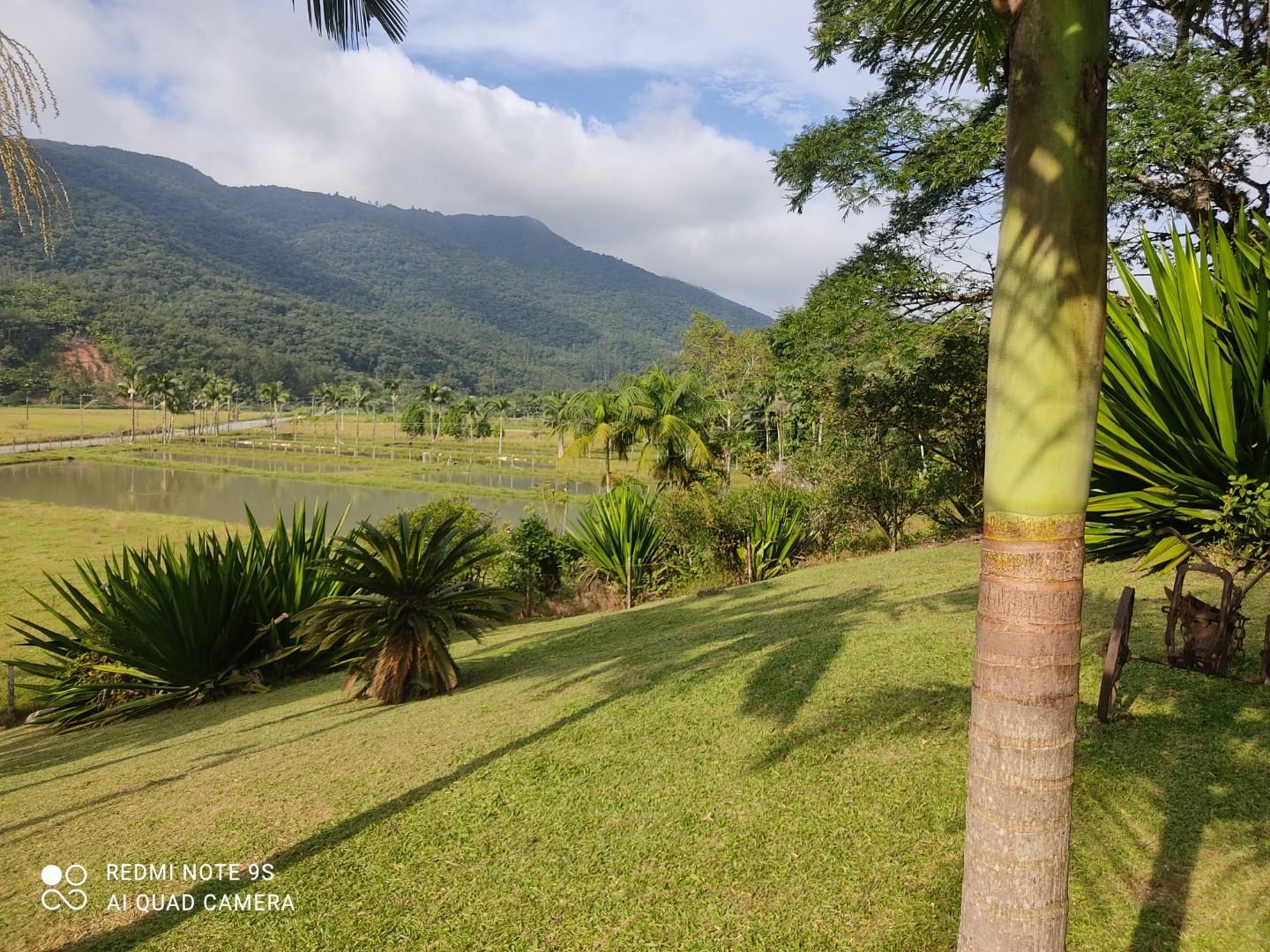 Chácara à venda com 3 quartos - Ribeirão Grande do Norte,Jaraguá do Sul