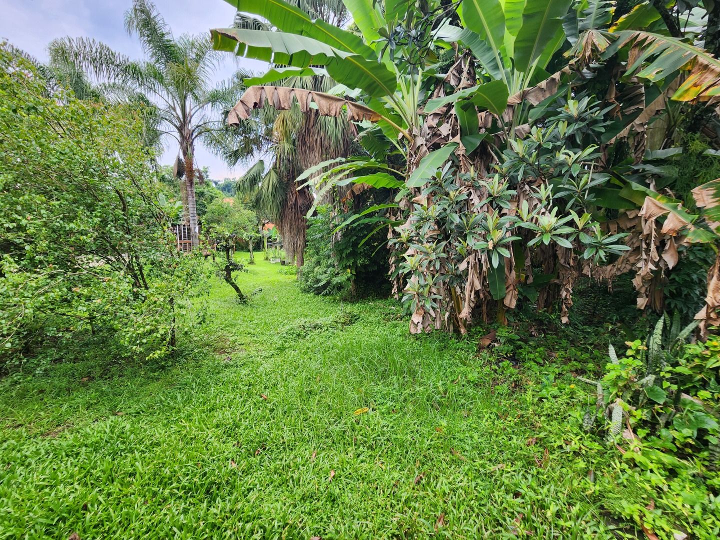  - Terreno à venda, 1308 m² por R$ 1.450.000,00 - Jaraguá Esquerdo - Jaraguá do Sul/SC