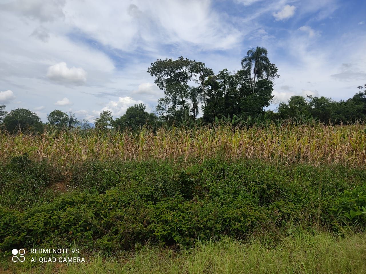  - Terreno à venda, 1200 m² por R$ 170.000,00 - Santa Luzia - Jaraguá do Sul/SC