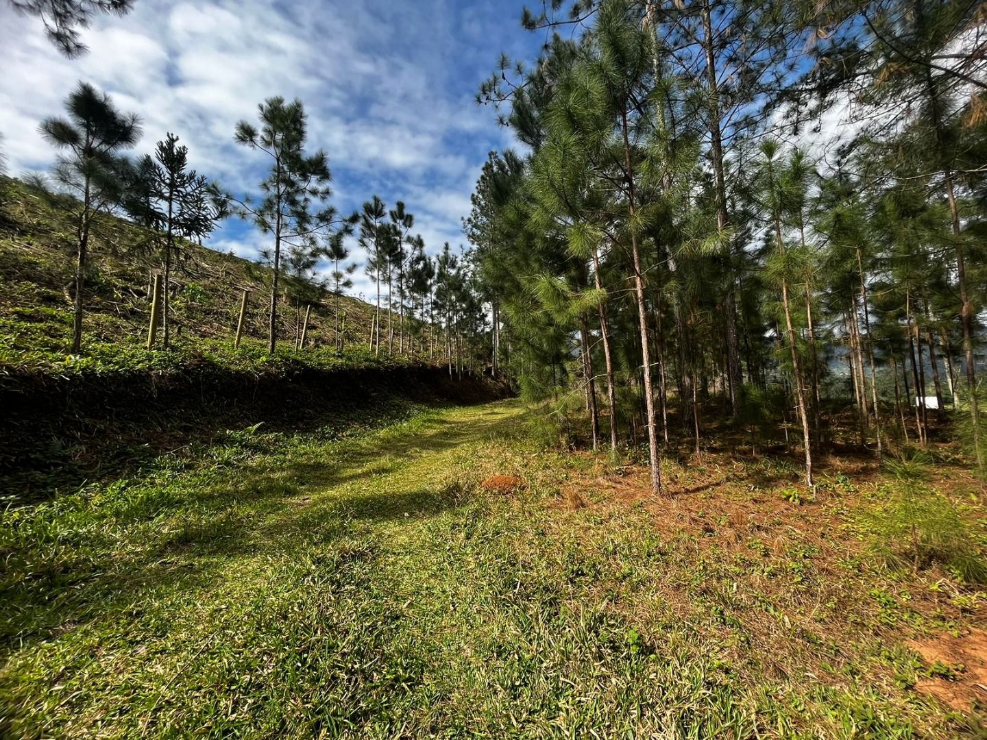  - Terreno à venda, 5880 m² por R$ 536.000,00 - Rio Cerro I - Jaraguá do Sul/SC